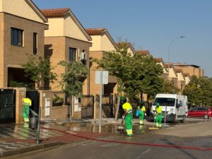 Limpieza intensiva 20240807 Buenavista WA0067