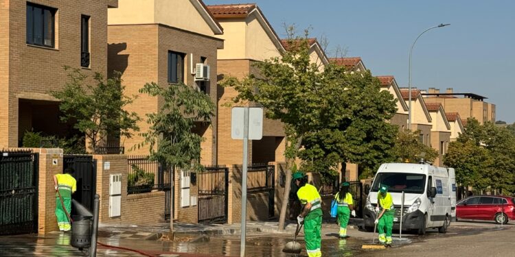 La Campaña de Limpieza Intensiva en Cuenca llega este sábado al Cerro de la Estrella, Avenida de Reyes Católicos e inmediaciones 1 Limpieza intensiva 20240807 Buenavista WA0067
