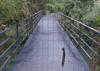 Las obras de un puente sobre el Júcar denunciadas por CeM carecen de autorización