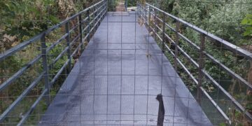 Las obras de un puente sobre el Júcar denunciadas por CeM carecen de autorización