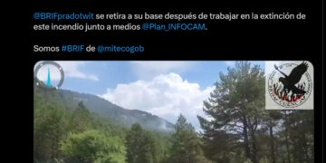 Extingido el incendio forestal en Tragacete
