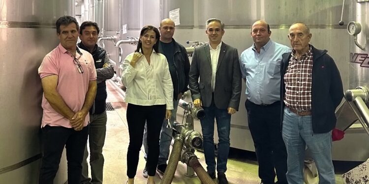 La Junta concede 1,4 millones de euros en ayuda VINATI a diez bodegas y cooperativas de Cuenca 1 La Junta concede 1,4 millones de euros en ayuda VINATI a diez bodegas y cooperativas de Cuenca