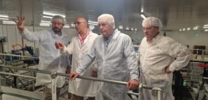 francisco de lucas e hijos 1