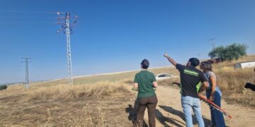El Gobierno regional destina 10,7 millones de euros a proteger la avifauna de colisiones y electrocuciones
