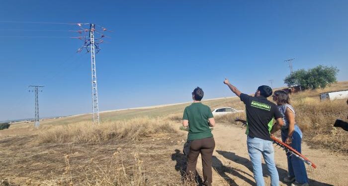 p1i4m0uvc41h1879d1pp36i71den4