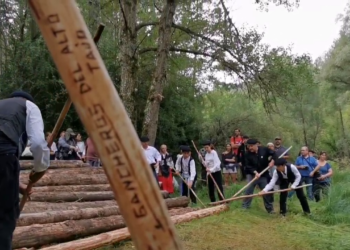 Troncos de pinos al río que los lleva con ayuda de ganchos. Míralos en la Fiesta Ganchera