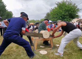 Fiesta Ganchera. Increíble esta exhibición de corta de «La Cabaña Real de Carreteros» de Quintanar de la Sierra (Burgos)