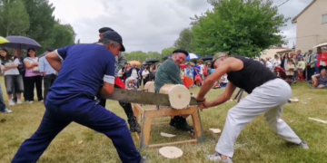 Fiesta Ganchera. Increíble esta exhibición de corta de «La Cabaña Real de Carreteros» de Quintanar de la Sierra (Burgos)