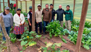 Adiman recibe la visita de dos Técnicos Agrónomos bolivianos de parte de ASOCIO y NATIVA para formarse en técnicas de compostaje y cultivo de champiñón