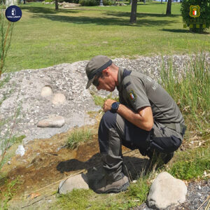 Agentes Medioambientales retiran varillas con liga para capturar fringílidos en el Parque de los Príncipes de Cuenca