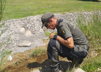 Agentes Medioambientales retiran varillas con «liga» para capturar fringílidos en el Parque de los Príncipes de Cuenca Agentes Medioambientales retiran varillas con «liga» para capturar fringílidos en el Parque de los Príncipes de Cuenca