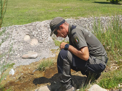 Agentes Medioambientales retiran varillas con "liga" para capturar fringílidos en el Parque de los Príncipes de Cuenca 1 Agentes Medioambientales retiran varillas con liga para capturar fringílidos en el Parque de los Príncipes de Cuenca