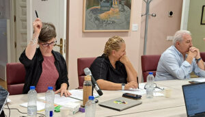 Aike critica que este año no habrá concurso de fotografía en las ferias y fiestas