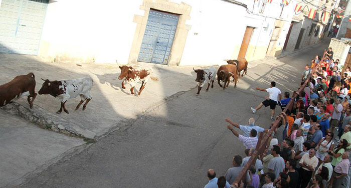 Corneado en una pierna un hombre de 35 años en el encierro de Pareja 1 Corneado en una pierna un hombre de 35 años en el encierro de Pareja