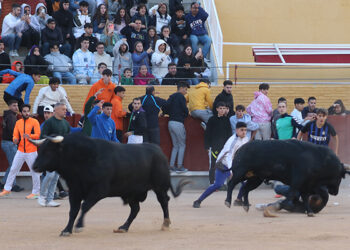 Dos corredores arrollados por los toros en el cuarto encierro de las Fiestas de Guadalajara