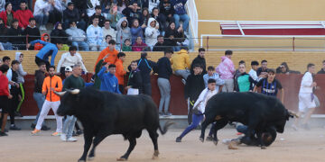 Dos corredores arrollados por los toros en el cuarto encierro de las Fiestas de Guadalajara
