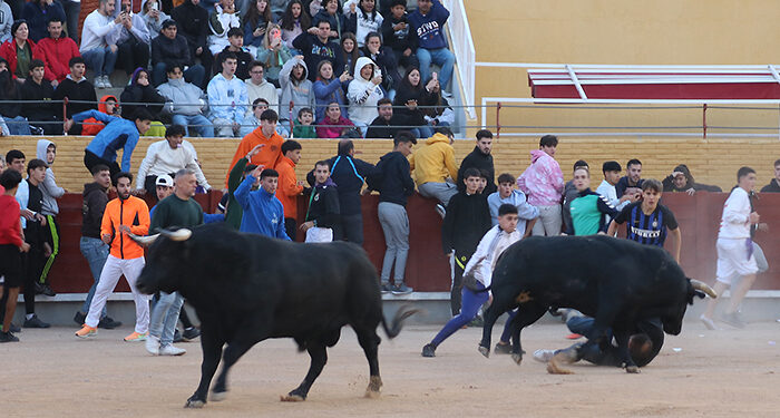 Dos corredores arrollados por los toros en el cuarto encierro de las Fiestas de Guadalajara