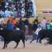 Dos corredores arrollados por los toros en el cuarto encierro de las Fiestas de Guadalajara
