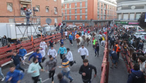 Dos corredores arrollados por los toros en el cuarto encierro de las Fiestas de Guadalajara