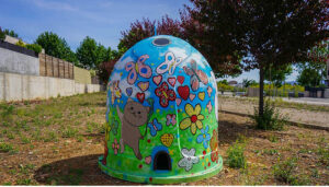 El Ayuntamiento de Cabanillas inicia una campaña de concienciación sobre control de gatos callejeros y domésticos