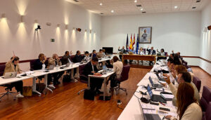 El Pleno del Ayuntamiento de Guadalajara se traslada el Centro Social de los Valles