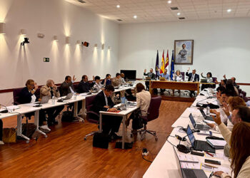 El Pleno del Ayuntamiento de Guadalajara se traslada el Centro Social de los Valles