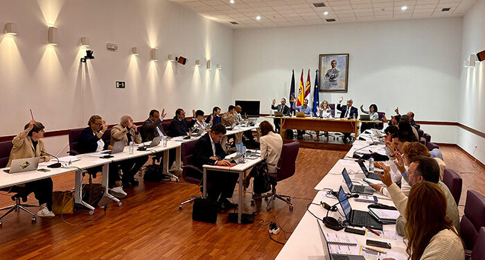 El Pleno del Ayuntamiento de Guadalajara se traslada el Centro Social de los Valles