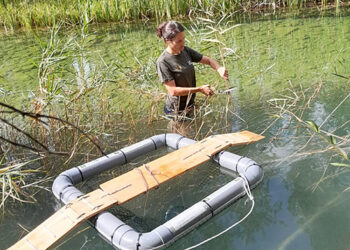El invento de los Agentes Medioambientales para capturar en Cuenca ejemplares de Galápago de Florida