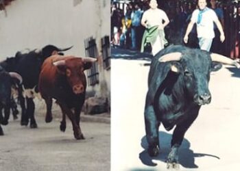 ¿Qué hacer en Cuenca este fin de semana? 8 ¿Qué hacer en Cuenca este fin de semana?