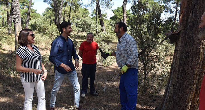 La Diputación de Cuenca incrementa las ayudas para los resineros en un 80% hasta llegar a los 1.796 euros por beneficiario