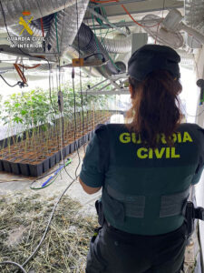 La Guardia Civil desmantela una plantación de marihuana en un inmueble abandonado en la A-2 en Torija