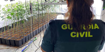 La Guardia Civil desmantela una plantación de marihuana en un inmueble abandonado en la A-2 en Torija