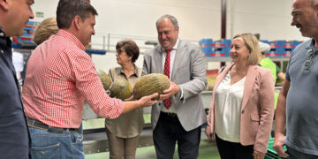 La Junta abonará antes del 15 de octubre a las Organizaciones de Productores de Frutas y Hortalizas 6,1 millones, la mayor cantidad destinada nunca a esta línea