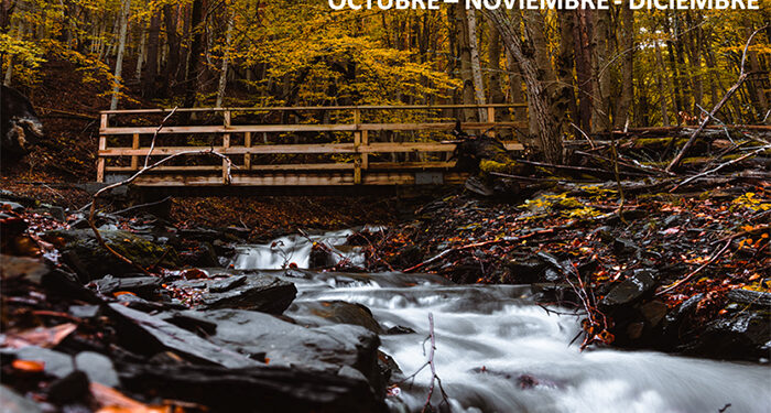 La Junta organiza más de 50 actividades gratuitas para este otoño a través del programa de educación y sensibilización ambiental ‘Vive tu Espacio’