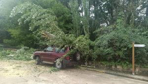 La tormenta causa destrozos en la localidad de El Tobar