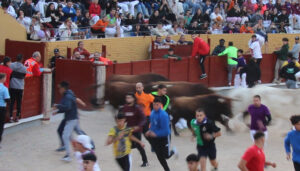 Limpio y rápido primer encierro de las Ferias y Fiestas de Guadalajara 2024