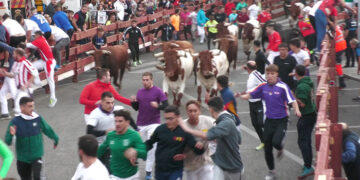 Limpio y rápido primer encierro de las Ferias y Fiestas de Guadalajara 2024 y un herido grave en la la posterior suelta de novillos y vacas