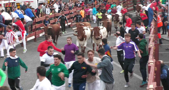 Limpio y rápido primer encierro de las Ferias y Fiestas de Guadalajara 2024 y un herido grave en la la posterior suelta de novillos y vacas 1 Limpio y rápido primer encierro de las Ferias y Fiestas de Guadalajara 2024