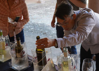 Los vinos DO La Mancha preparan la llegada de una misión inversa de China