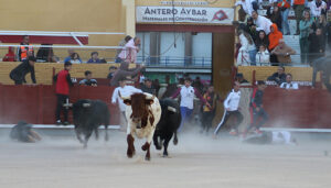 Sin incidencias en el segundo encierro de Guadalajara, largo y con el riesgo añadido de dos toros descolgados de la manada