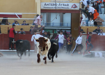 Sin incidencias en el segundo encierro de Guadalajara, largo y con el riesgo añadido de dos toros descolgados de la manada