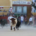 Sin incidencias en el segundo encierro de Guadalajara, largo y con el riesgo añadido de dos toros descolgados de la manada 3 Sin incidencias en el segundo encierro de Guadalajara, largo y con el riesgo añadido de dos toros descolgados de la manada