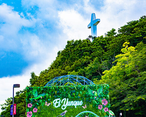 Toroverde continua su expansión con la apertura del nuevo Parque de las Ciencias de Puerto Rico
