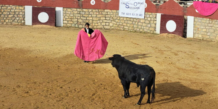 Daniel Moset triunfa en el festejo taurino de las fiestas en Las Majadas 1 toros 1