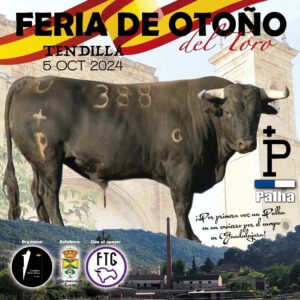 459632461 1158906465746831 7643056872514271222 nTENDILLA