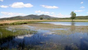 ADEL firmará este otoño contratos de ayuda con emprendedores que supondrán una inversión de casi 1,5 millones de euros en la Sierra Norte