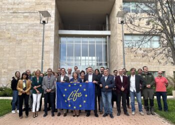 UFIL Cuenca organiza la presentación de los proyectos regionales de bioeconomía forestal apoyados por la Fundación Biodiversidad UFIL Cuenca organiza la presentación de los proyectos regionales de bioeconomía forestal apoyados por la Fundación Biodiversidad