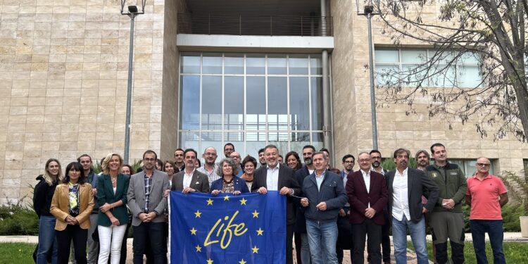 Acto Wood4Life 20241009