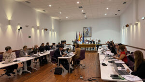 Aprobadas por el Pleno del Ayuntamiento de Guadalajara las nuevas ordenanzas de movilidad y de estacionamiento limitado