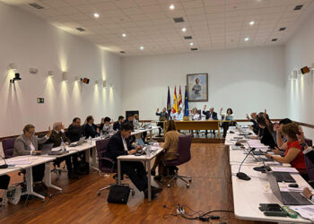 Aprobadas por el Pleno del Ayuntamiento de Guadalajara las nuevas ordenanzas de movilidad y de estacionamiento limitado 5 Aprobadas por el Pleno del Ayuntamiento de Guadalajara las nuevas ordenanzas de movilidad y de estacionamiento limitado